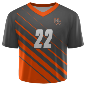 Lacrosse ARH-202